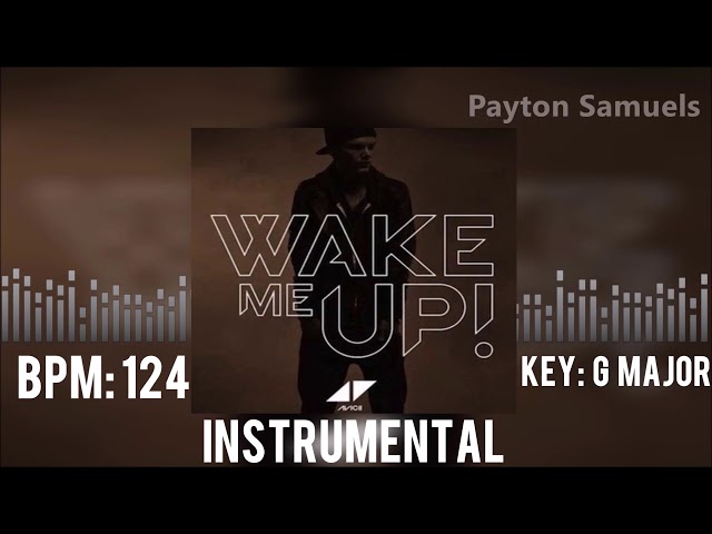 Avicii ft. Aloe Blacc - Wake Me Up (Official Instrumental Radio