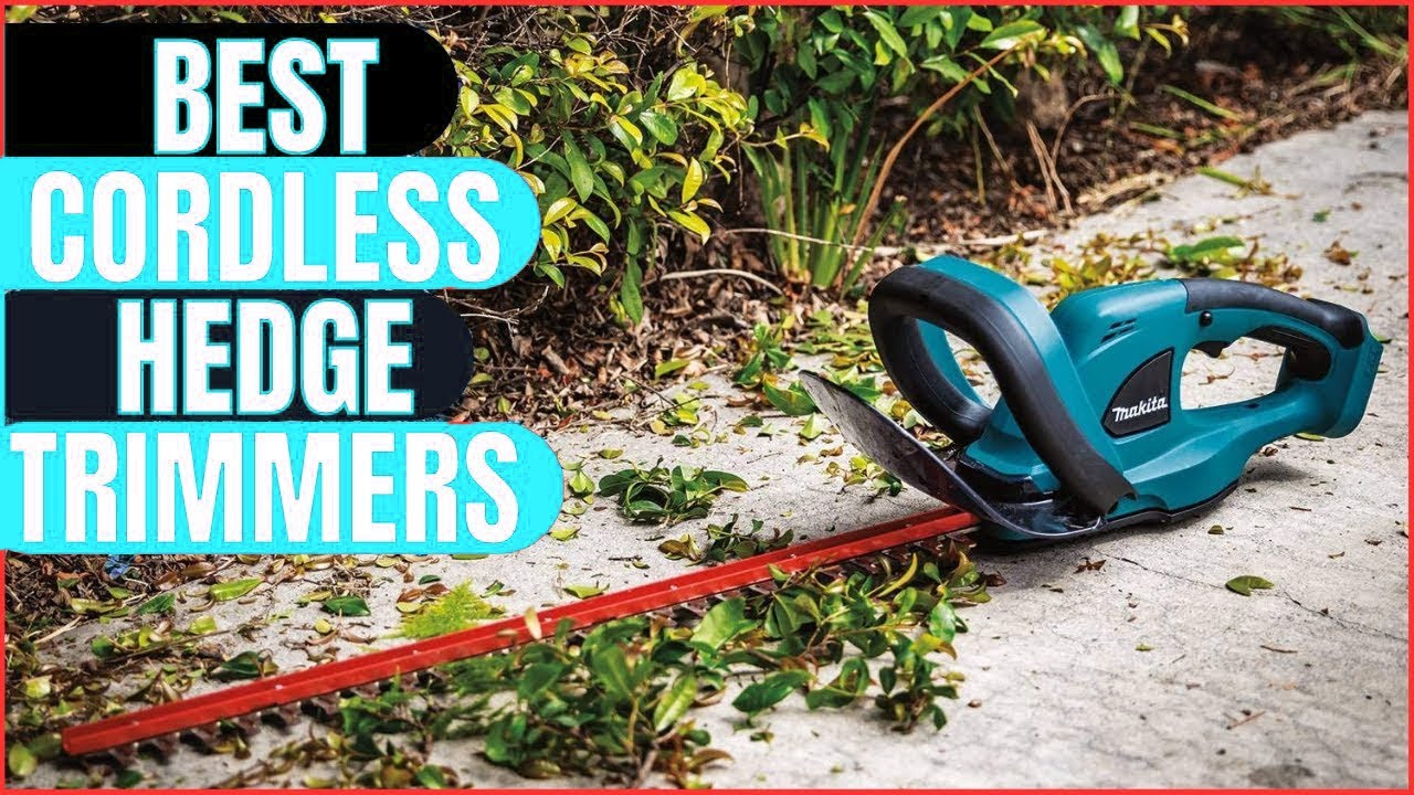 Best Cordless Hedge Trimmers In 2023 - YouTube
