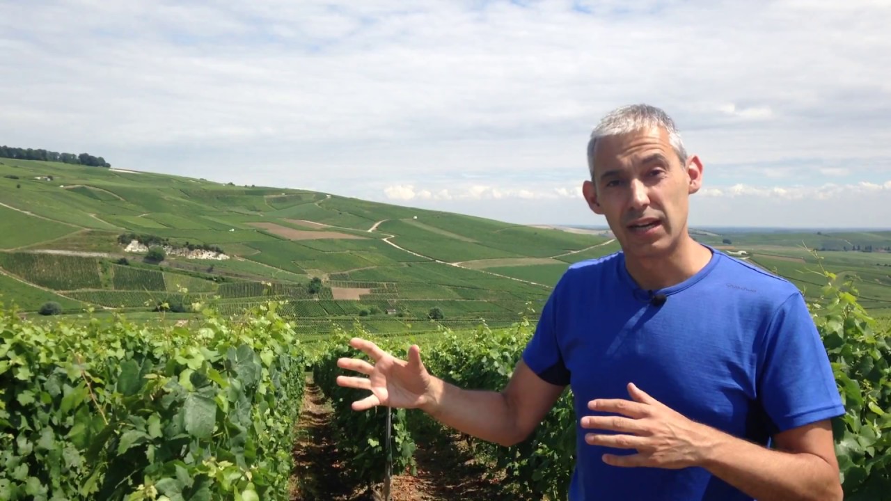 Grand Cru y  Premier Cru de Champagne