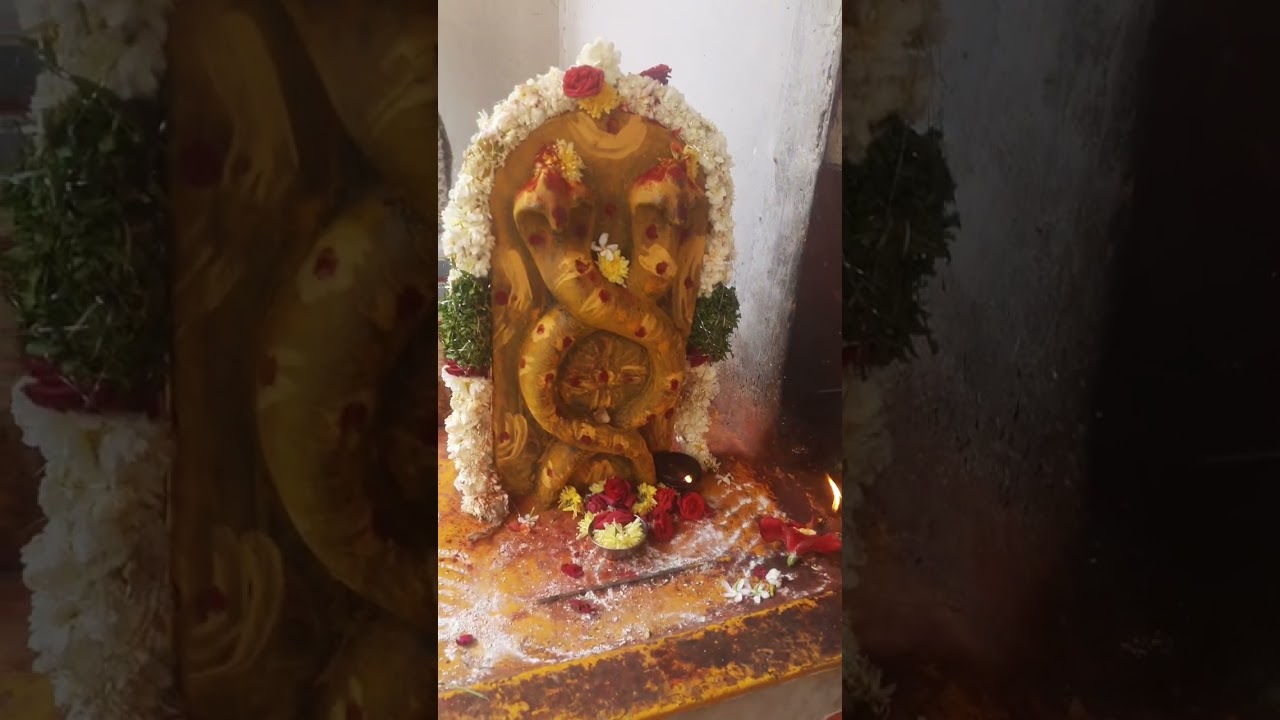 శ్రీమన్నారాయణుని మంగళశాసనాలుతో భగవత్ బంధువులు కుటుంబసభ్యులు ఆశీస్సులు తో 33,వ వివాహం వారిషికోత్సవం