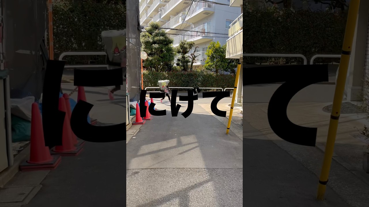 逃げて逃げて逃げて