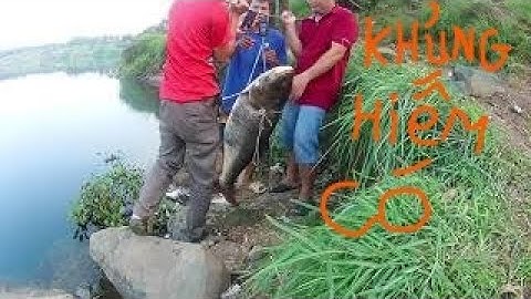 cận cảnh pha dìu cá mè lá khủng 23kg ở hồ đá _ tập 5