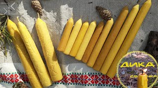 картинка: Сукання свічки з бортного воску | Майстер-клас