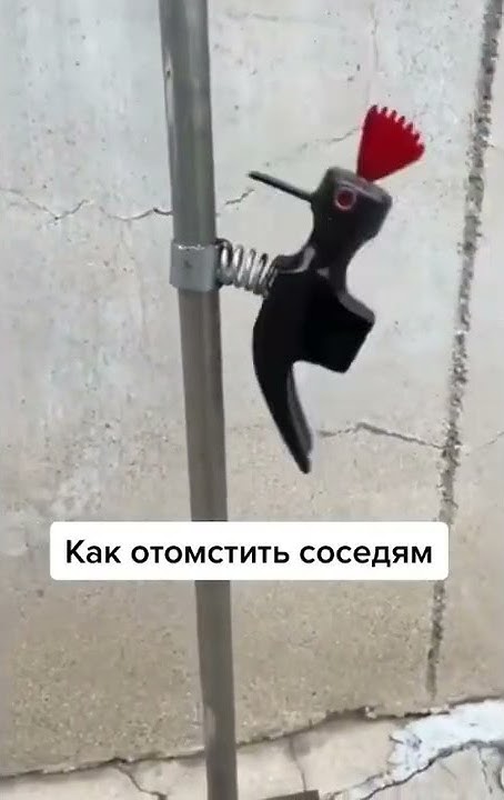 дятел для для недобросовестных соседей - YouTube