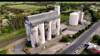 Coonalpyn Silo Mural created by International Artist