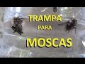 Como hacer trampas para MOSCAS - No molestarán nunca más - Sin productos tóxicos