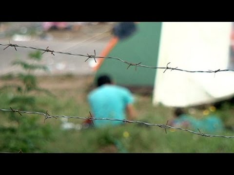 Macaristan'ın inşa ettiği çit göçmenleri durduramıyor