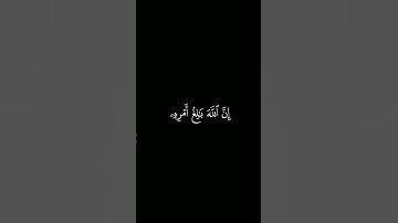 كروما آيات قرانية القارئ : بدر التركي | سورة الطلاق | آية ٢