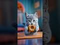 Donuts Par Tooti Ye Cute AI Billi 😻🍩 #shorts #AICat #Donuts #FunnyCat #youtubeshorts