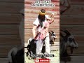 #shortvideos#shortsviral #rdr2#ytshorts #ytshort #shortfeed #shorts #viral #gaming #rdr2online