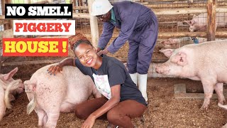 How To Make Your Own IMO At The FARM /Cleaning PIGGERY HOUSE! screenshot 3