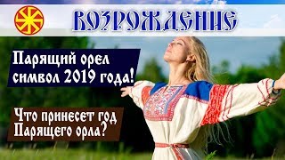 Парящий орел символ 2019 года! Что принесет Новый 2019 год Парящего орла? Парящий орел символ 2019 года! Что принесет Новый 2019 год Парящего орла?
