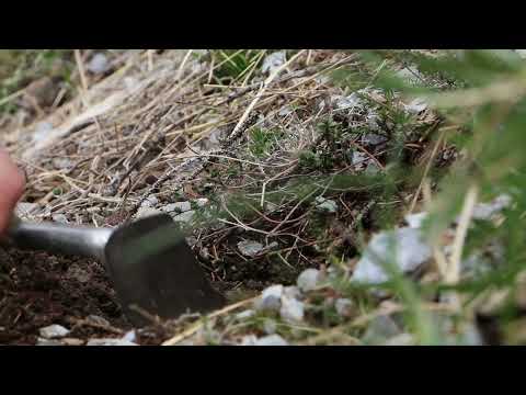 (Teil 1) Spurensuche: Archäologie in Graubünden