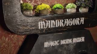 Exitzone - Die Zauberschule - Magischer Escape Room