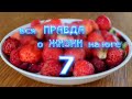 "Вся правда о жизни на юге - 7". Станица Брюховецкая.