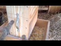 Chicken Coops Chicken Coops