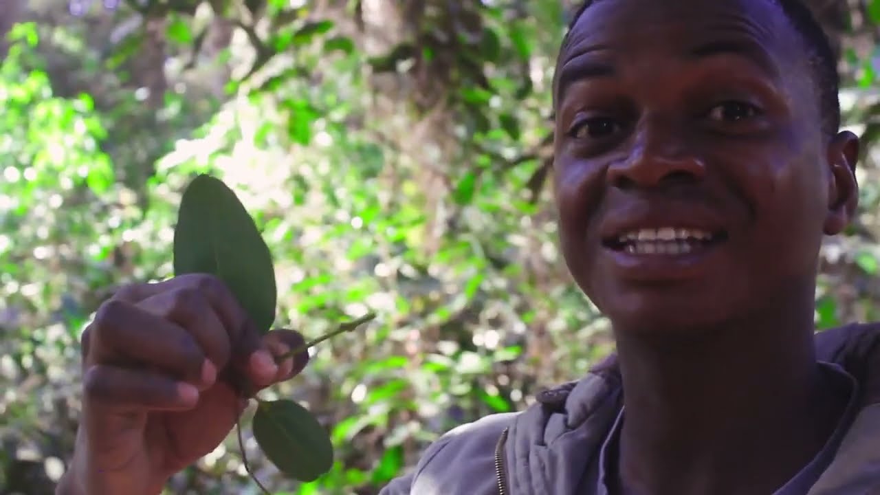 Dans les profondeurs du Fouta Djallon ( Film document sur la valorisation de la culture)