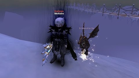 Double clearing Envy, Stormpeak and Flaris Dng with Ringmaster in Flyff Universe and reaching 165