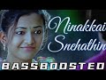 Ninakkai Snehathin | Bass Boosted | Ithu Njangalude  Lokam | Vineeth Sreenivasan | 320 Kbps |