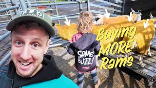 A Farming Family’s day out! 😃 screenshot 2