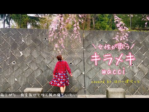 【女性が歌う】キラメキ/wacci【coverd by はにーぽけっと】