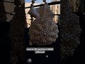 اخدت مني اكتر من ٦٠ ساعه شغل فكرتي وتنفيذي لو حابين تسألو او تستفسروا اللينك في البايو