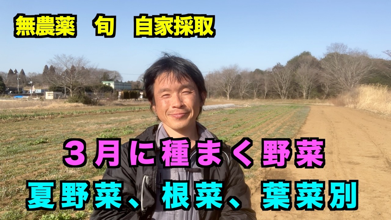 無農薬野菜栽培の３月に種まく野菜　夏野菜　根菜　葉菜