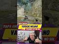 VARADO (wallbang) INSANO pegando o CT do SOL no MAPA ANCIENT. 🎯  #counterstrike #wallbang #varado