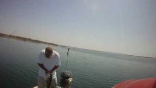 Lake Amistad fish with Cast Away Guide Service