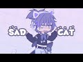 Sad cat meme ft andrexolotl   4mazing