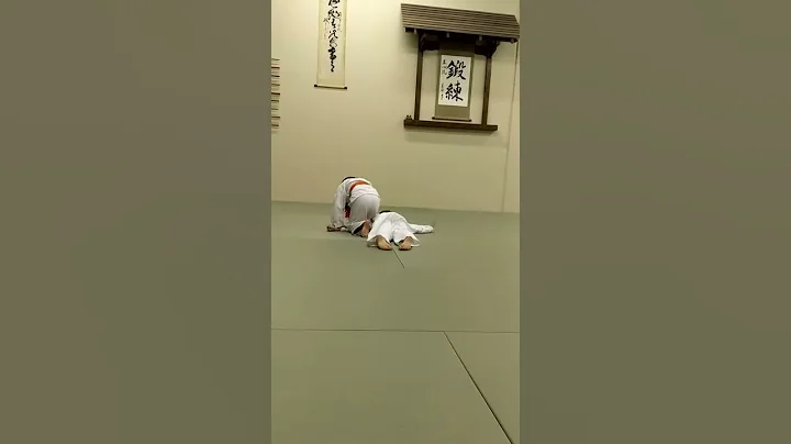 Baylee and Mila training