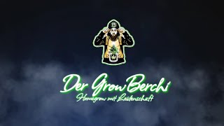 GrowBerchi zeigt sich 🐻💚🥦