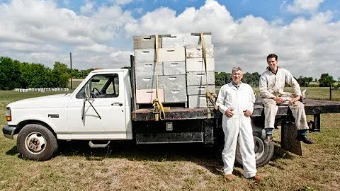John Talbert on How Beekeeping Has Changed, and Gr...