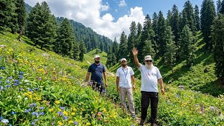 Exploring The Unseen Mountains! 🧭💚​Nature At Its Best: Greenery & Flowers 🌲🌼