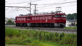 ED75-758 AT入場配給 《 EF81-136 ED75-758 》ヒガハス