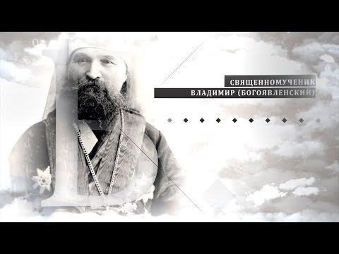 Священномученик Владимир (Богоявленский). Путь на Голгофу: шаг за шагом