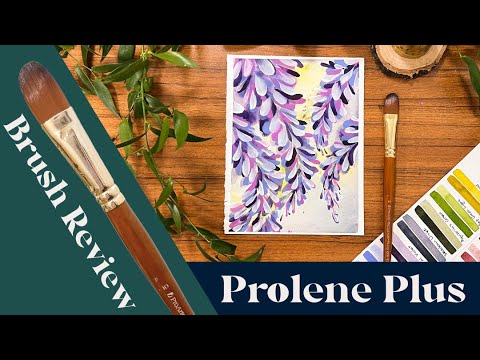 Pro Arte : Prolene Plus : Retractable (Collapsible) Watercolor