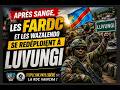 SANGE ET LUVUNGI LIBÉRÉS CONGO EZALI KOZONGA 