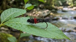 Killer Bibio Dyret Dry Fly. #dryfly #flytying #flyfishing #troutflies #troutfishing #bestfly #dyret