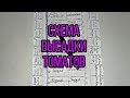 Схема посадки томатов в трех теплицах