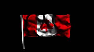 Animation Test #1: Flowing 3D Flag