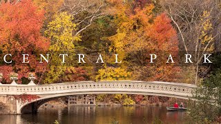 Autumn in Central Park (4k) by Christopher Putvinski 60,307 views 2 years ago 2 minutes, 13 seconds