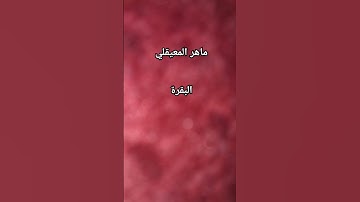 #ماهر_المعيقلي #سورة_البقرة #القرآن_الكريم #اكسبلور #مصر #الجزائر #love #المغرب #العراق #السعودية @#
