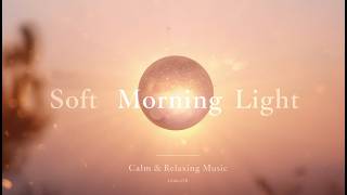 First Light | Soft Ambient Music to Start Your Day Calmly (45 Min Loop)