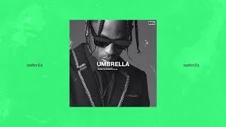 umbrella // p. cryptic, holy