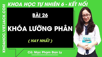 Khoa học tự nhiên 6 Bài 26: Khóa lưỡng phân - trang 91 | Kết nối tri thức (HAY NHẤT)