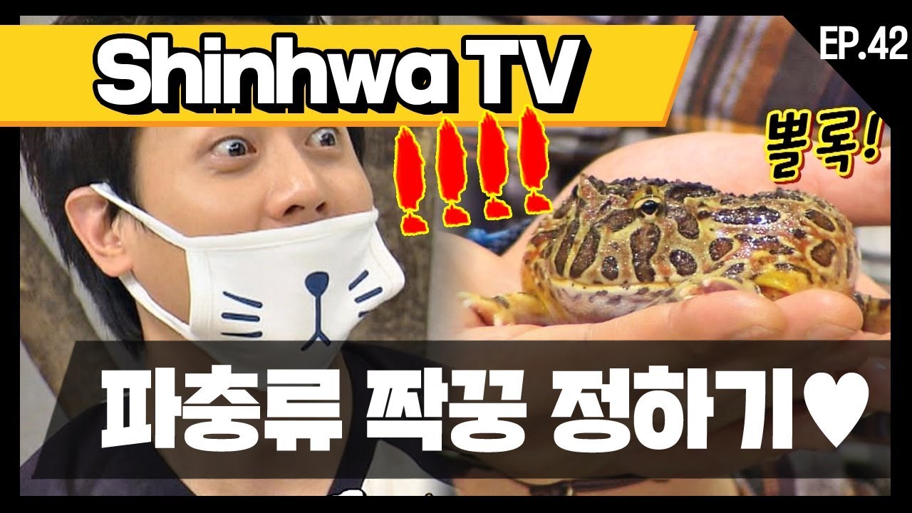 [신화방송 42-2] [Shinhwa TV EP 42-2] ★데뷔 20주년★ 기념 몰아보기!