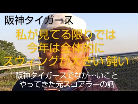 タイガース５月こそ頑張れ。混戦を抜け出せ。