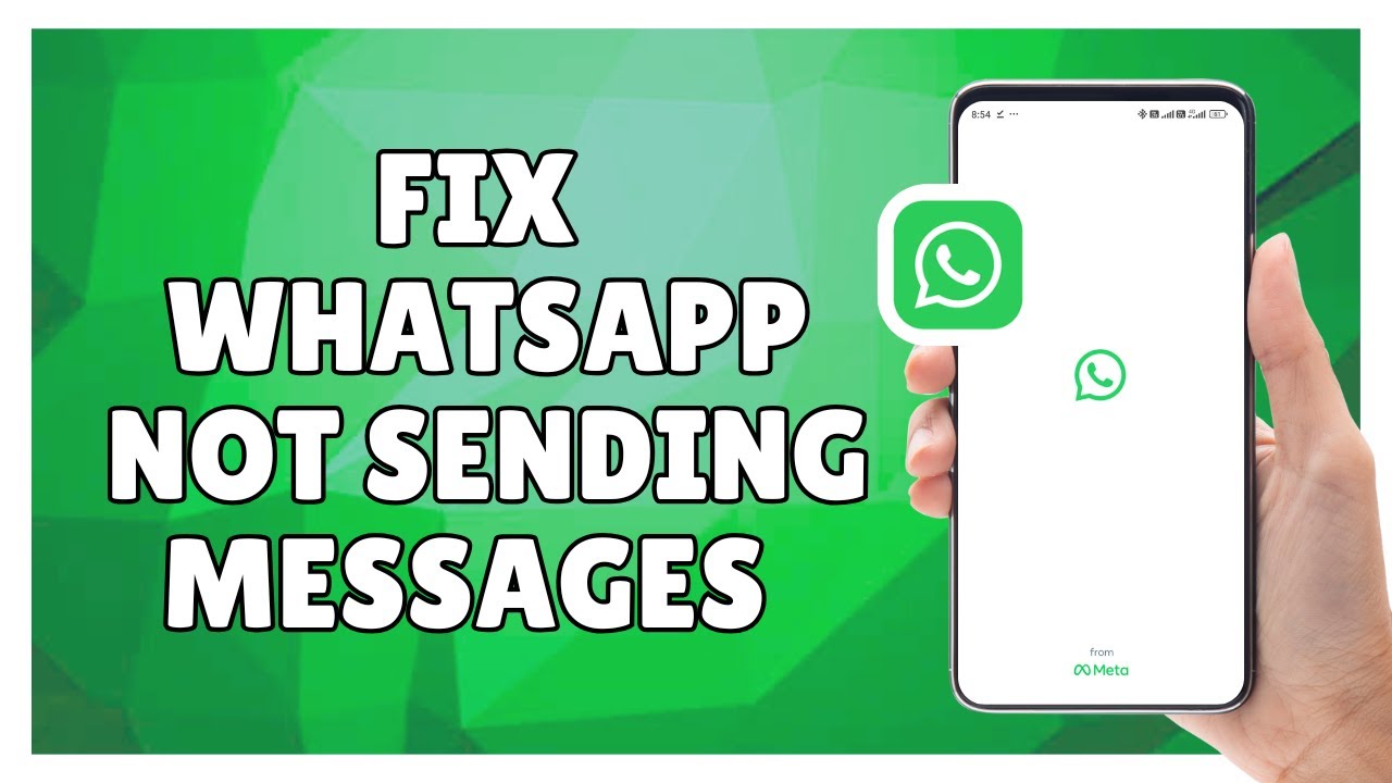 How to Fix WhatsApp Not Sending Messages | 100% Working Solution - YouTube