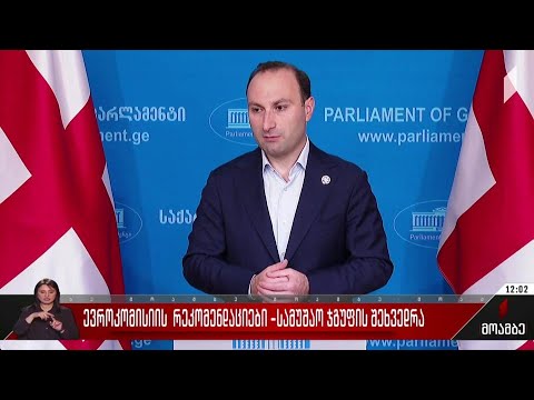 ევროკომისიის რეკომენდაციები - სამუშაო ჯგუფის შეხვედრა